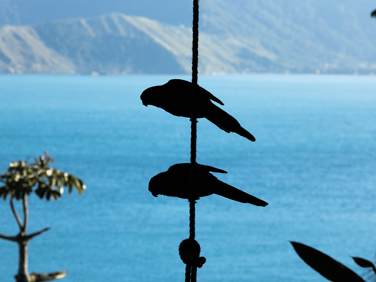 Bangalô Maritaca - Privacidade e vista para o Mar